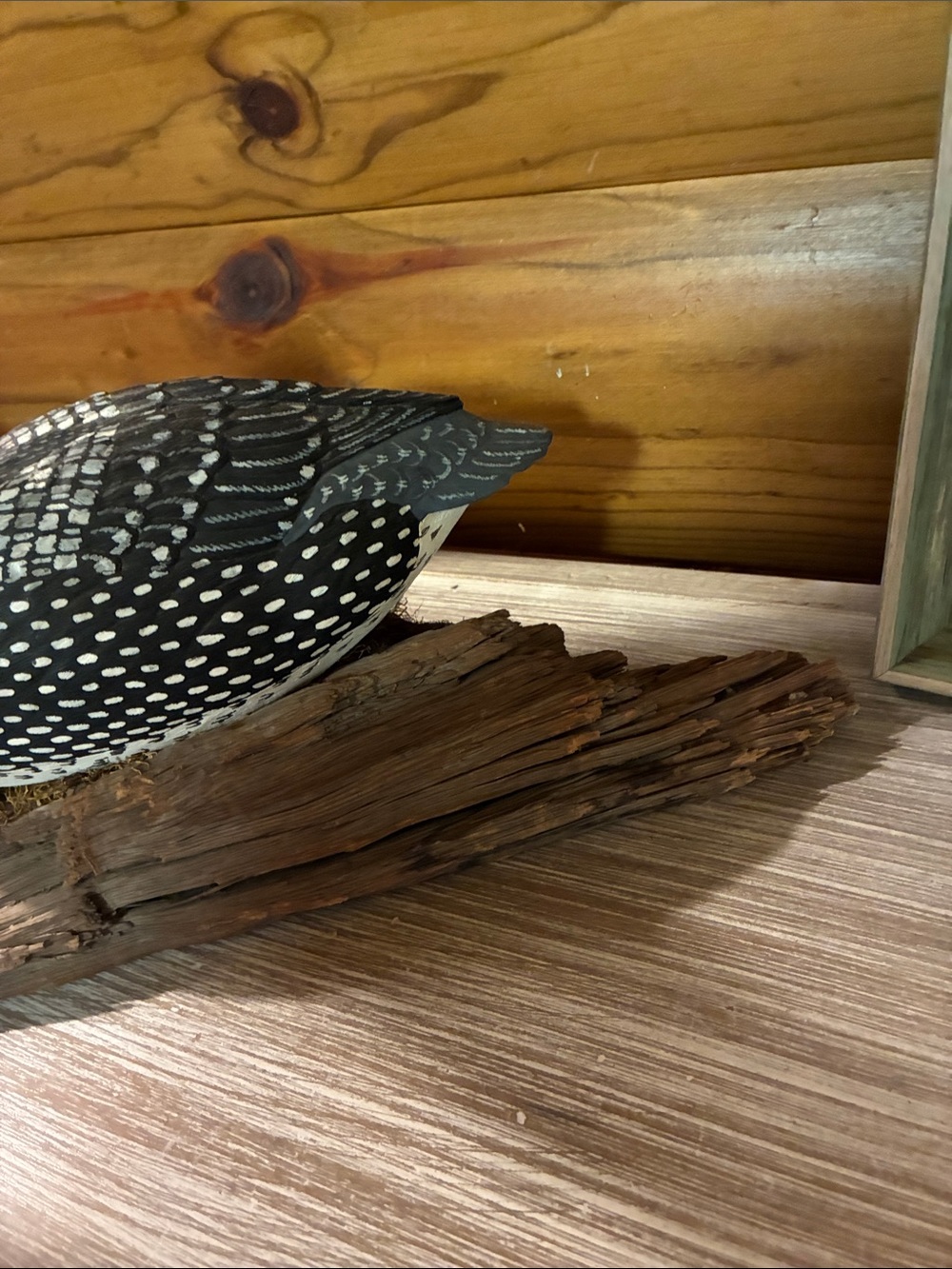Vintage Loon Decoy Figurine Hand Painted Black & White Bird Decor Rustic Cabin - Picture 9 of 12